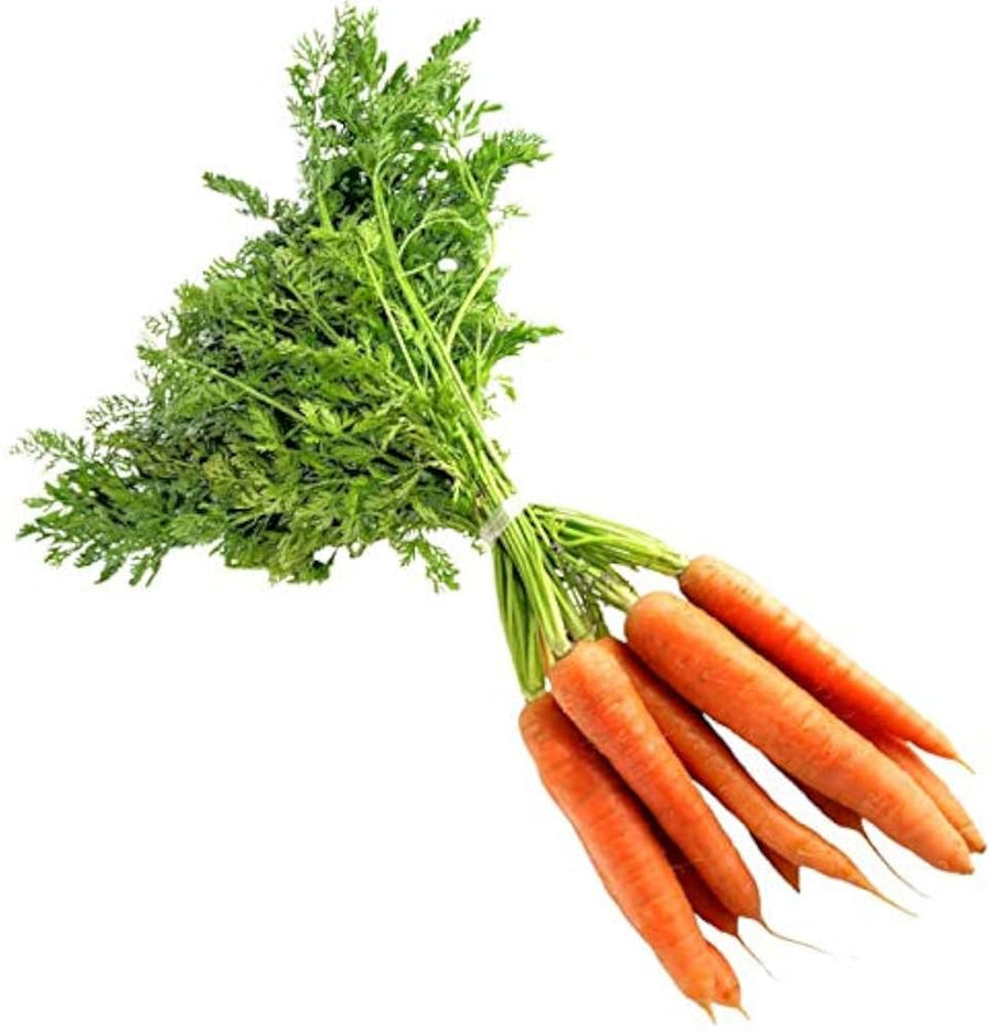 Carrot Daucus Carota Seeds for planting in raised bed