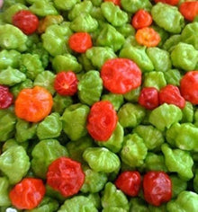 Plant Seeds (Ajito pepper) for productive rows in the kitchen garden or backyard pots
