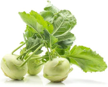 White Viennese Kohlrabi Seeds (Brassica oleracea) for growers seeking a long-blooming display
