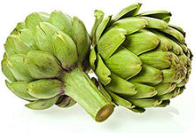 Jerusalem Seeds (Cynara scolymus) for a bright addition to the vegetable patches and home gardens