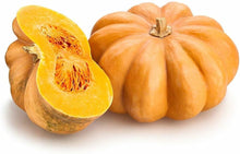 Calabaza Pumpkin Seeds for a reliable harvest in the Cucurbita patch edible garden