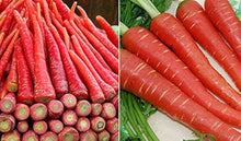 Red Carrot Seeds known for nutritious DIY Cooking Projects
