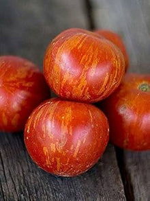 Goldie Tomato Seeds for growers stocking the Fresh Garden Planting
