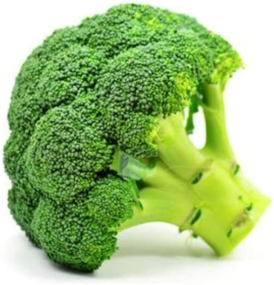 Premium Crop Hybrid Broccoli seeds