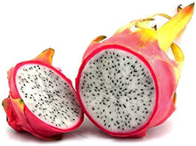 High-Quality Dragon Seeds grown for bonsai Fruit Growth