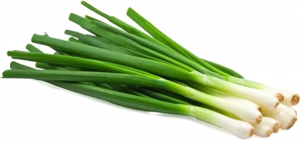 Chinese Garden Leek Seeds for vegetable garden planting