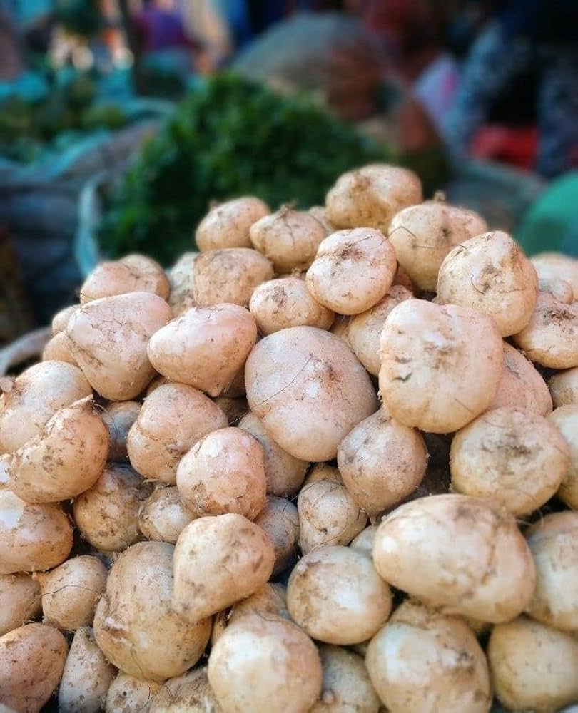 Yam Vegetable Seeds for home garden harvest