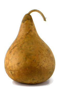 Gross Martin Haus Gourd Seeds (Lagenaria siceraria) for productive rows in the birdhouse crafting and vertical garden use