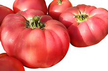 Hamson DX Heirloom Tomato Seeds valued by growers for juicy Home-Grown Tomatoes