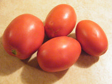 NOVA Tomato Seeds prized among growers for rich Flavor