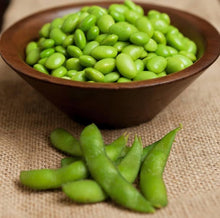 Bean Samt Edamame Essbare Soja Bio-NON-GMO unbehandeltes Saatgut Seeds for growers stocking a kitchen garden