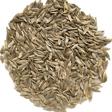 Lettuce Seeds (Lactuca sativa) for a reliable harvest in the Vegetable Home Garden