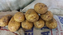 Potato Seeds for a productive addition to the vegetable patch