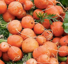 Carrot Gardens for planting in home garden.