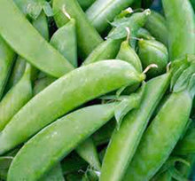 Sugar Snap Peas Seeds for growers stocking a kitchen garden