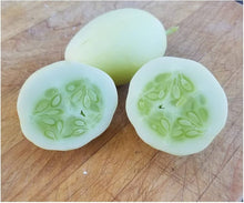 White Wonder Cucumber Seeds for a reliable harvest in the Unique Garden Crops