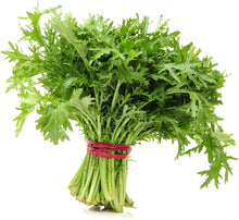 Japanese Green Mizuna Salad Seeds for a colorful addition to any planting