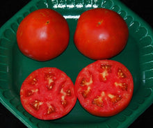 Celebrity Hybrid Tomato Seeds for a productive addition to the vegetable patch