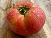 Brandywine Tomato Seeds (Solanum lycopersicum) for home growers seeking a reliable harvest