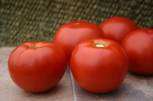 Celebrity Hybrid Tomato Seeds for a productive addition to the vegetable patch