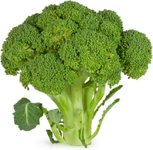 Broccoli ‘Kaiser’ vegetable Seeds for home growers seeking a reliable harvest
