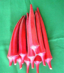 Seltene KochenFlowers Okra Red Burgundy Seeds for a reliable harvest in the Vegetable Garden