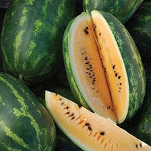 Watermelon Citrullus Lanatus Tendersweet Orange Seeds valued by growers for sweet Harvest