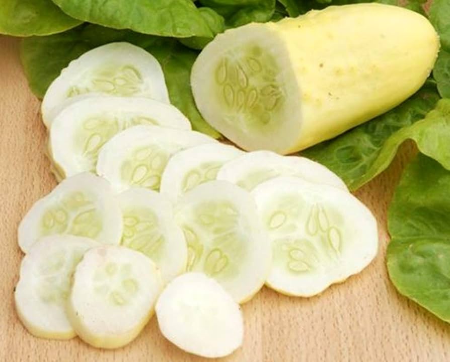 White Wonder Cucumber heirloom seeds for unique garden crops