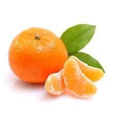 Tangerine Citrus Fruit Tree Seeds for sweet homegrown fruit in the Home & Garden