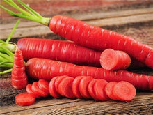 Carrot Seeds (Daucus carota) for productive rows in the Red Heart Kitchen Garden