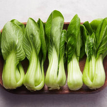 Canton Bok Choy (Pak Choi Seeds (Brassica rapa) for growers seeking a long-blooming display
