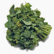 Broccoli Raab Seeds known for nutritious Green Vegetables