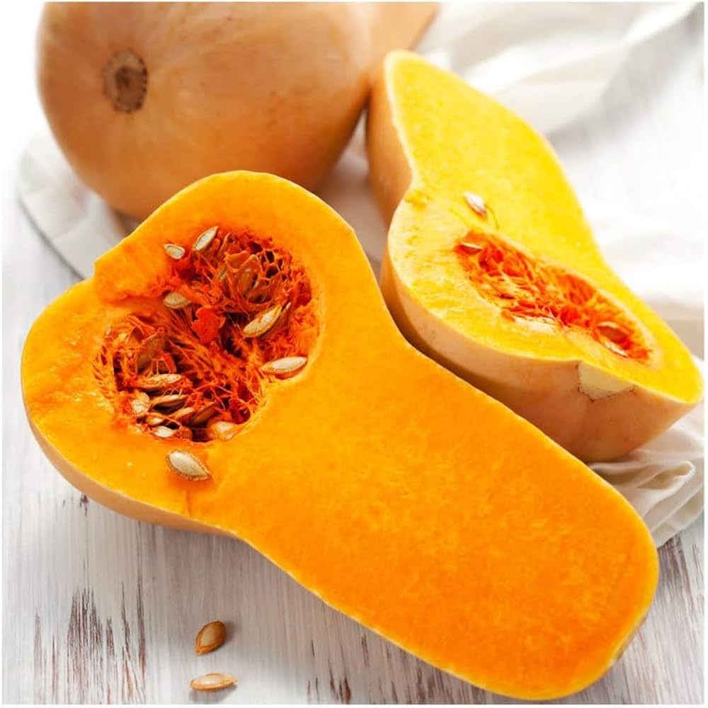 Waltham (Butternut Squash Seeds – Classic Winter Squash with Sweet Orange Flesh) for planting in garden
