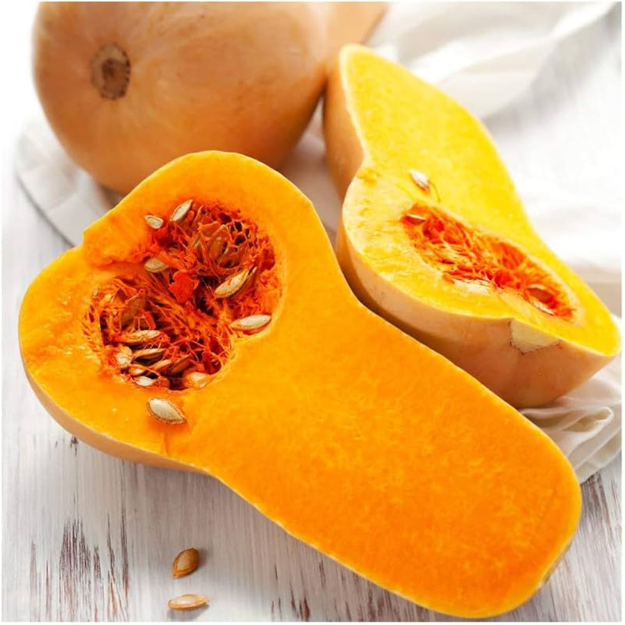 Waltham (Butternut Squash Seeds – Classic Winter Squash with Sweet Orange Flesh) for planting in garden