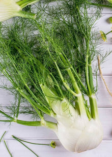 Fennel Seeds (Foeniculum vulgare) for a fragrant addition to the Herb Vegetable Patch