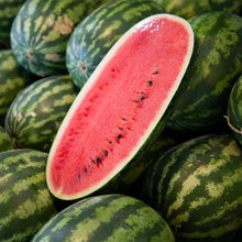 Kongo Watermelon Seeds (Citrullus lanatus) for productive rows in the vegetable patches and home gardens