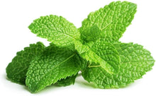 Certified Organic Peppermint Seeds for reliable seasonal color