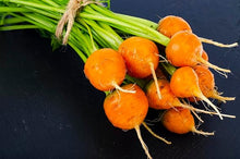 Carrot Daucus Carota Paris Market Seeds for a fresh homegrown crop from the Raised Container Gardens