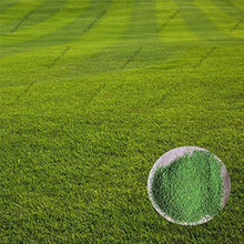 Lawn Seeds for a hardy addition to the landscape