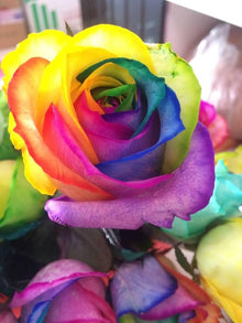 Mystic Rainbow Rose Flower Seeds