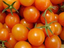 Isis Candy Tomato Seeds for a productive addition to the vegetable patch