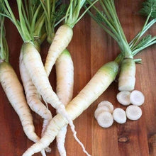 Lunar White Carrot Seeds (Daucus carota) for home growers seeking a reliable harvest