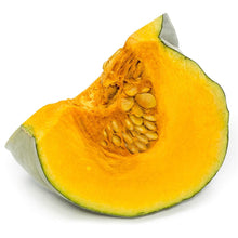 Connecticut Field Pumpkin Seeds (Cucurbita pepo) known for carving or pie