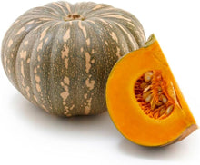 Hooligan (pumpkin Cucurbita pepo miniature vegetable) for planting in garden