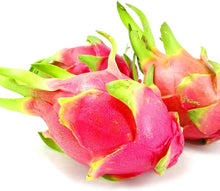 White Pitaya Seeds (Hylocereus undulatus) for growers wanting a homegrown harvest