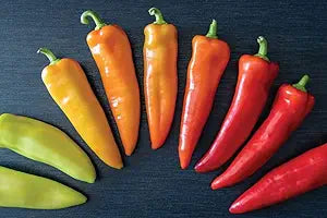 Jamaican (hot pepper Capsicum chinense red) for planting in garden
