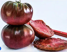 Black Brandywine Tomato Seeds (Solanum lycopersicum) for a fresh homegrown crop from the kitchen garden