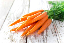 Carrot Seeds (Daucus carota) for a reliable harvest in the Vegetable Garden