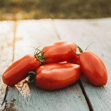 San Marzano Tomato Seeds valued by growers for authentic Italian Tomatoes