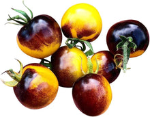 Lecker Bio-Fleischtomate Seeds for gardeners building out beds and borders